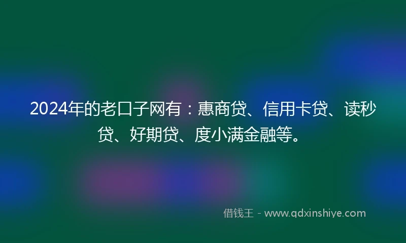 2024年的老口子网有：惠商贷、信用卡贷、读秒贷、好期贷、度小满金融等。