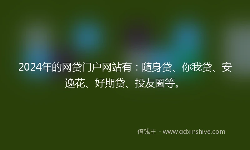2024年的网贷门户网站有：随身贷、你我贷、安逸花、好期贷、投友圈等。