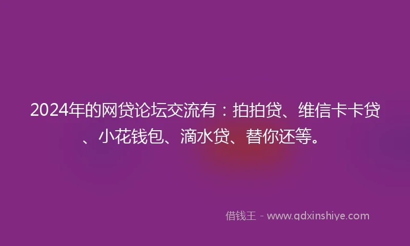 2024年的网贷论坛交流有：拍拍贷、维信卡卡贷、小花钱包、滴水贷、替你还等。