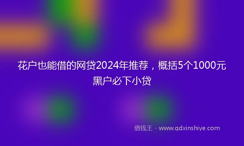 花户也能借的网贷2024年推荐，概括5个1000元黑户必下小贷