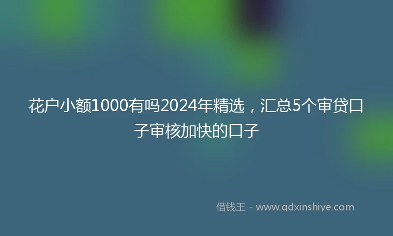 花户小额1000有吗2024年精选，汇总5个审贷口子审核加快的口子