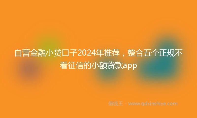 自营金融小贷口子2024年推荐，整合五个正规不看征信的小额贷款app
