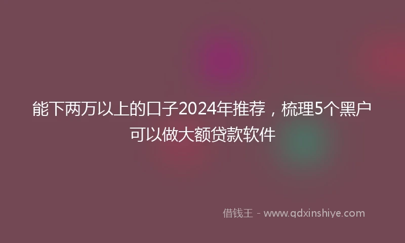 能下两万以上的口子2024年推荐，梳理5个黑户可以做大额贷款软件