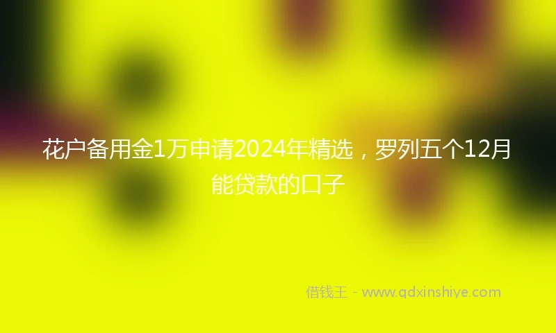 花户备用金1万申请2024年精选，罗列五个12月能贷款的口子