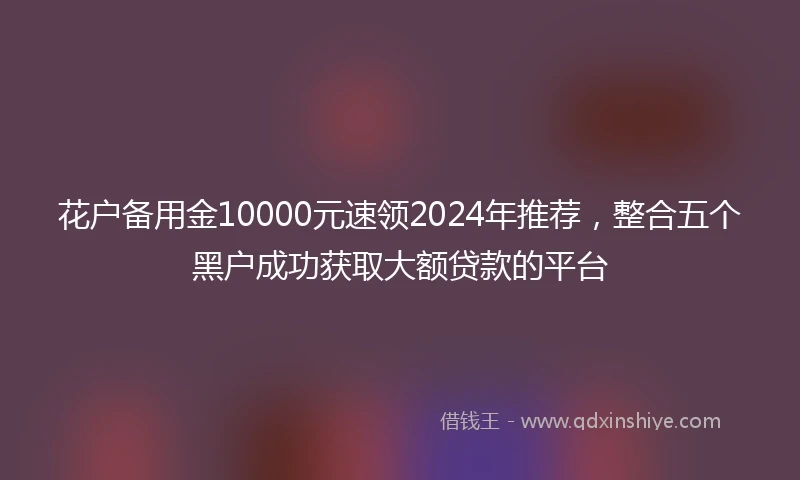 花户备用金10000元速领2024年推荐，整合五个黑户成功获取大额贷款的平台