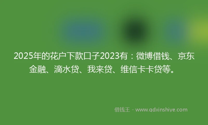 2025年的花户下款口子2023有：微博借钱、京东金融、滴水贷、我来贷、维信卡卡贷等。