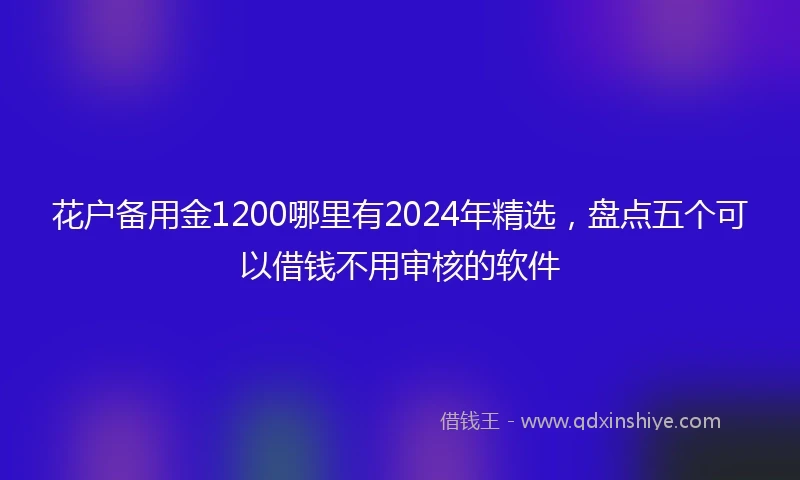 花户备用金1200哪里有2024年精选，盘点五个可以借钱不用审核的软件