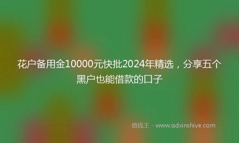 花户备用金10000元快批2024年精选,分享五个黑户也能借款的口子
