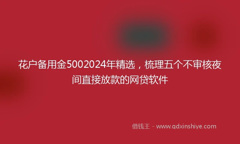 花户备用金5002024年精选，梳理五个不审核夜间直接放款的网贷软件