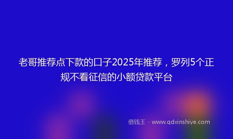 老哥推荐点下款的口子2025年推荐，罗列5个正规不看征信的小额贷款平台