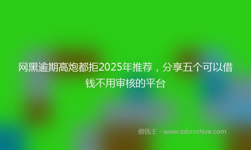 网黑逾期高炮都拒2025年推荐，分享五个可以借钱不用审核的平台