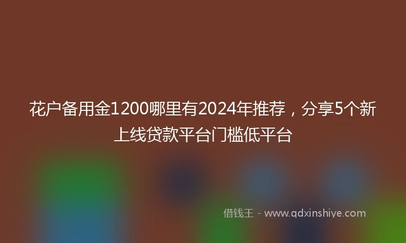 花户备用金1200哪里有2024年推荐，分享5个新上线贷款平台门槛低平台