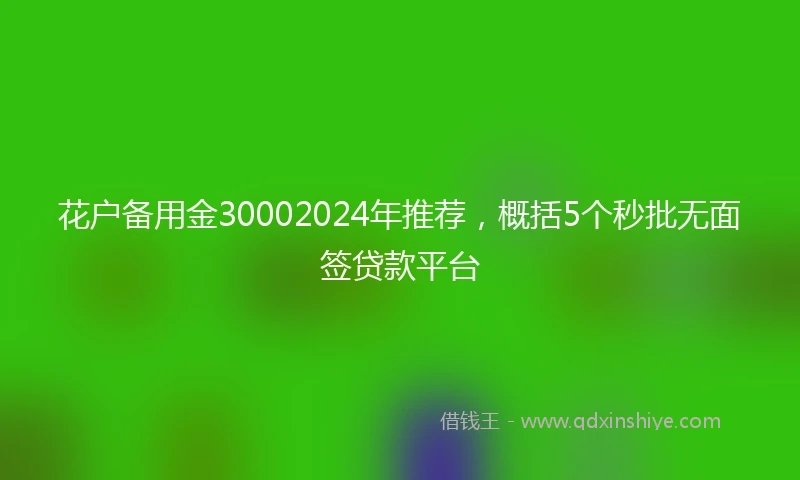 花户备用金30002024年推荐，概括5个秒批无面签贷款平台