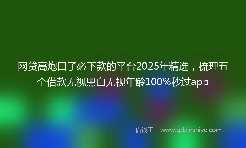 网贷高炮口子必下款的平台2025年精选，梳理五个借款无视黑白无视年龄100%秒过app
