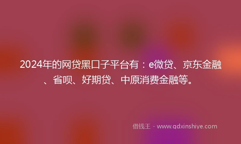 2024年的网贷黑口子平台有:e微贷、京东金融、省呗、好期贷、中原消费金融等。