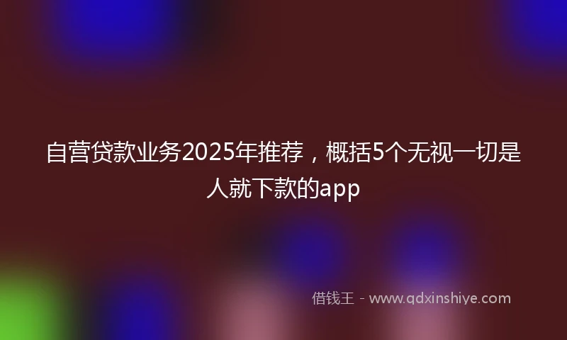 自营贷款业务2025年推荐，概括5个无视一切是人就下款的app