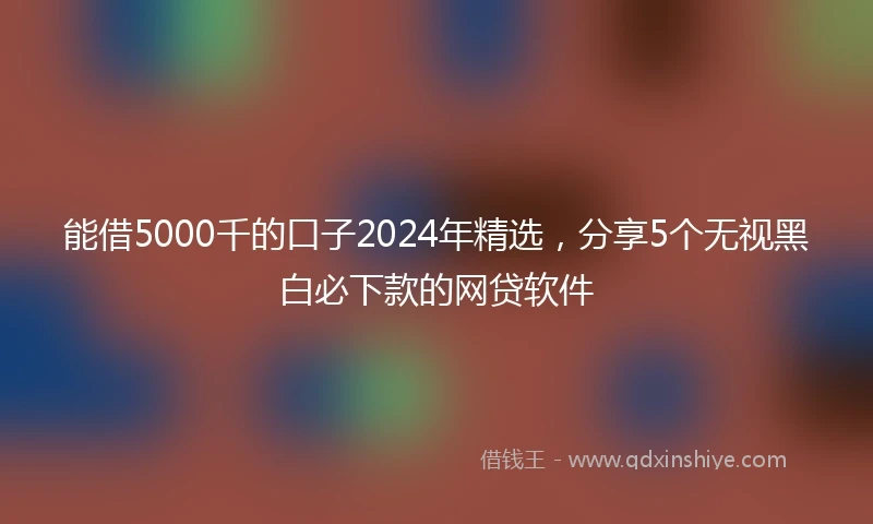 能借5000千的口子2024年精选，分享5个无视黑白必下款的网贷软件