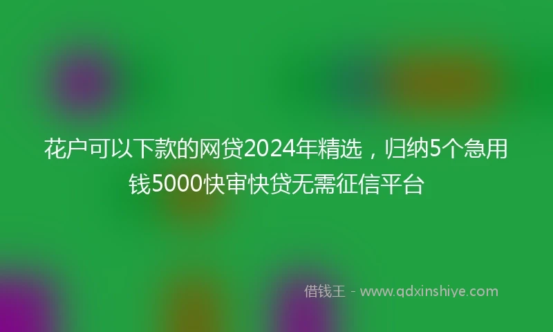 花户可以下款的网贷2024年精选，归纳5个急用钱5000快审快贷无需征信平台