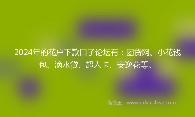 2024年的花户下款口子论坛有：团贷网、小花钱包、滴水贷、超人卡、安逸花等。