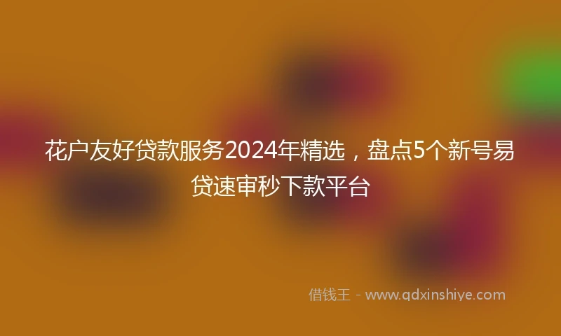 花户友好贷款服务2024年精选，盘点5个新号易贷速审秒下款平台
