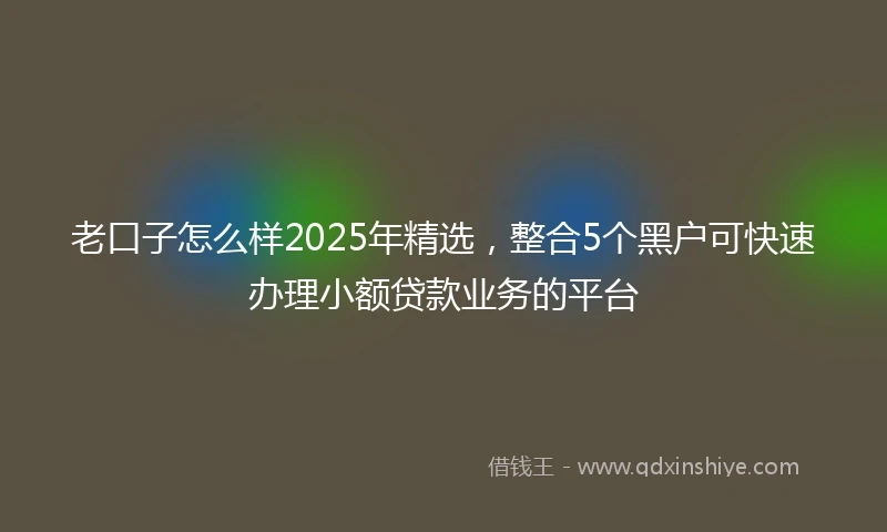 老口子怎么样2025年精选，整合5个黑户可快速办理小额贷款业务的平台