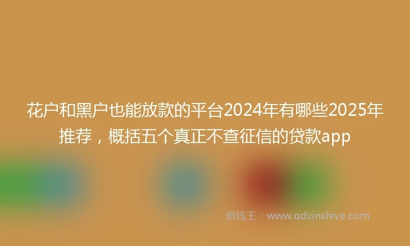 花户和黑户也能放款的平台2024年有哪些2025年推荐，概括五个真正不查征信的贷款app