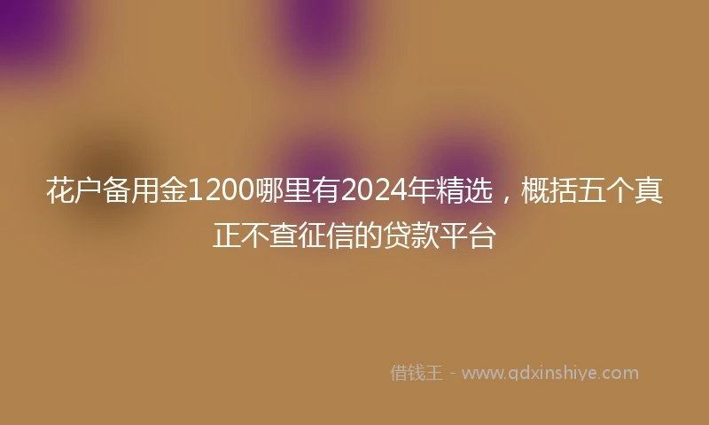 花户备用金1200哪里有2024年精选，概括五个真正不查征信的贷款平台