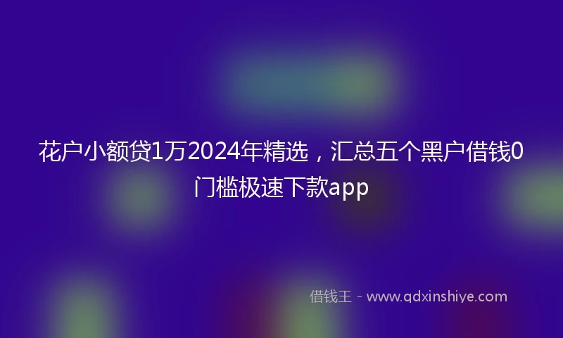 花户小额贷1万2024年精选，汇总五个黑户借钱0门槛极速下款app