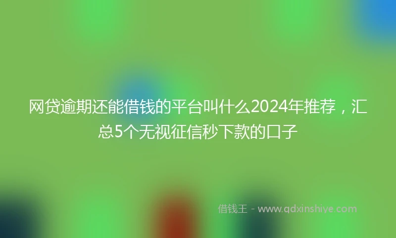 网贷逾期还能借钱的平台叫什么2024年推荐,汇总5个无视征信秒下款的口子