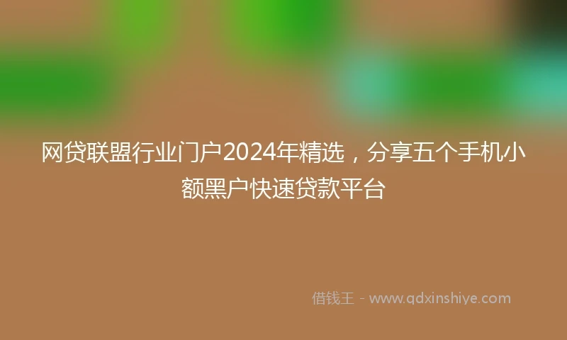 网贷联盟行业门户2024年精选，分享五个手机小额黑户快速贷款平台