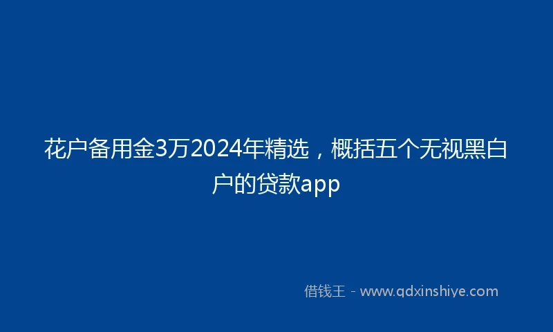 花户备用金3万2024年精选，概括五个无视黑白户的贷款app