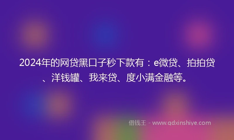 2024年的网贷黑口子秒下款有：e微贷、拍拍贷、洋钱罐、我来贷、度小满金融等。