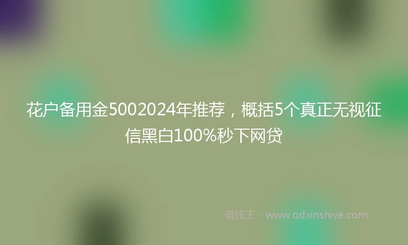 花户备用金5002024年推荐,概括5个真正无视征信黑白100%秒下网贷