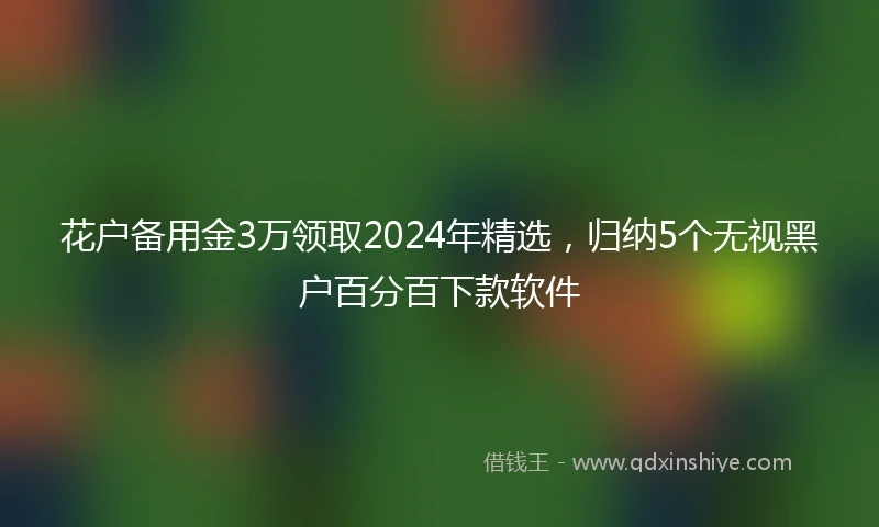 花户备用金3万领取2024年精选，归纳5个无视黑户百分百下款软件