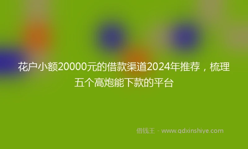 花户小额20000元的借款渠道2024年推荐，梳理五个高炮能下款的平台