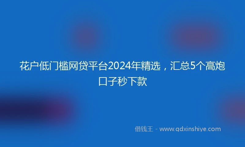花户低门槛网贷平台2024年精选，汇总5个高炮口子秒下款