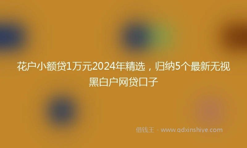 花户小额贷1万元2024年精选，归纳5个最新无视黑白户网贷口子