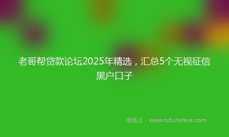 老哥帮贷款论坛2025年精选，汇总5个无视征信黑户口子