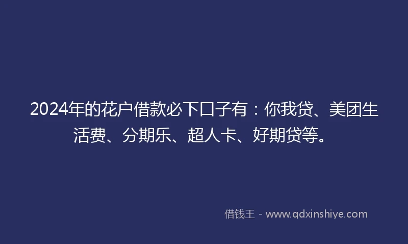 2024年的花户借款必下口子有：你我贷、美团生活费、分期乐、超人卡、好期贷等。
