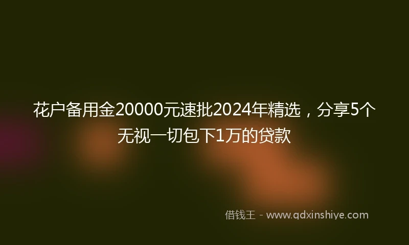 花户备用金20000元速批2024年精选，分享5个无视一切包下1万的贷款