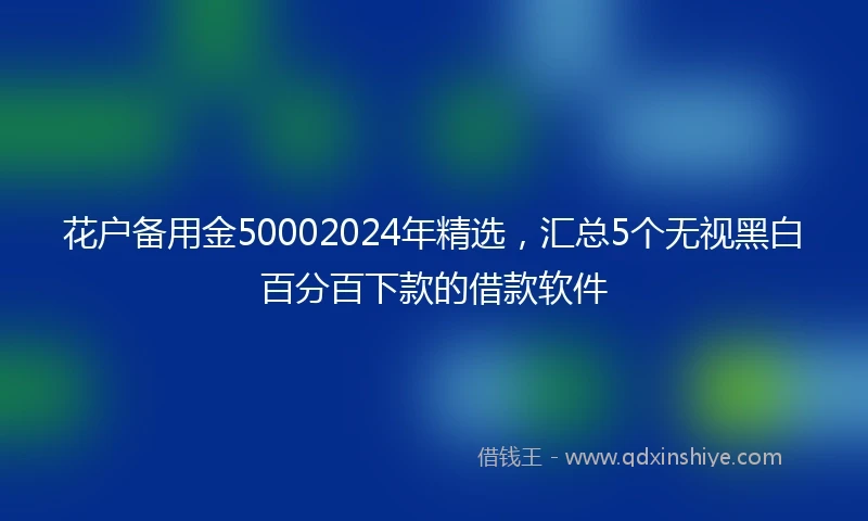 花户备用金50002024年精选，汇总5个无视黑白百分百下款的借款软件