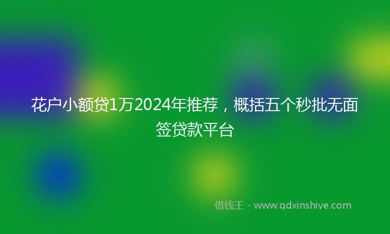 花户小额贷1万2024年推荐，概括五个秒批无面签贷款平台