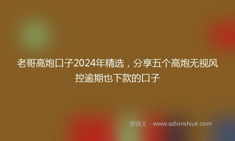 老哥高炮口子2024年精选，分享五个高炮无视风控逾期也下款的口子