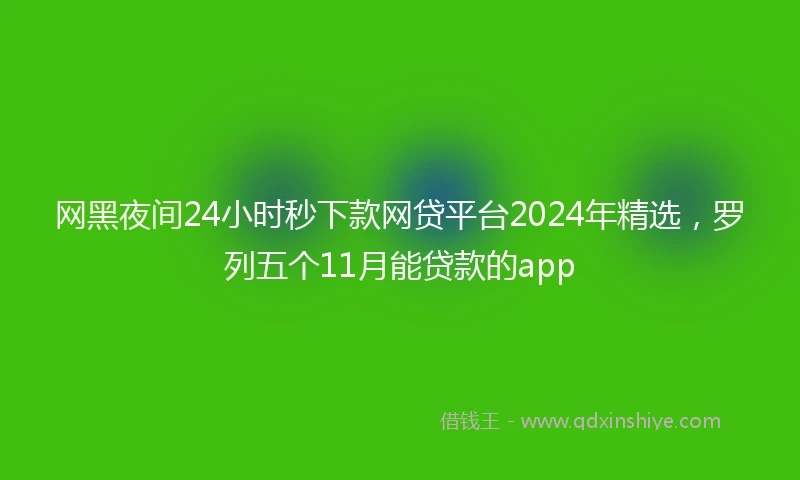 网黑夜间24小时秒下款网贷平台2024年精选，罗列五个11月能贷款的app