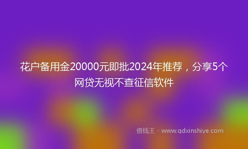 花户备用金20000元即批2024年推荐，分享5个网贷无视不查征信软件