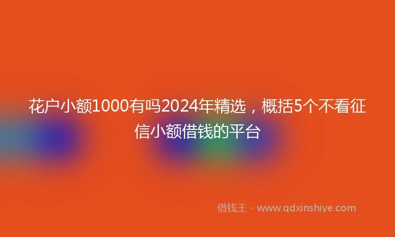 花户小额1000有吗2024年精选，概括5个不看征信小额借钱的平台