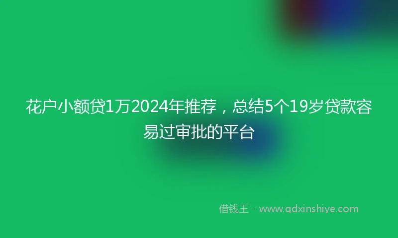 花户小额贷1万2024年推荐，总结5个19岁贷款容易过审批的平台