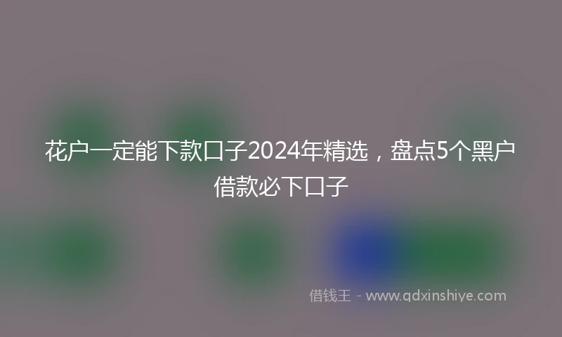 花户一定能下款口子2024年精选，盘点5个黑户借款必下口子