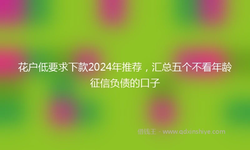 花户低要求下款2024年推荐，汇总五个不看年龄征信负债的口子