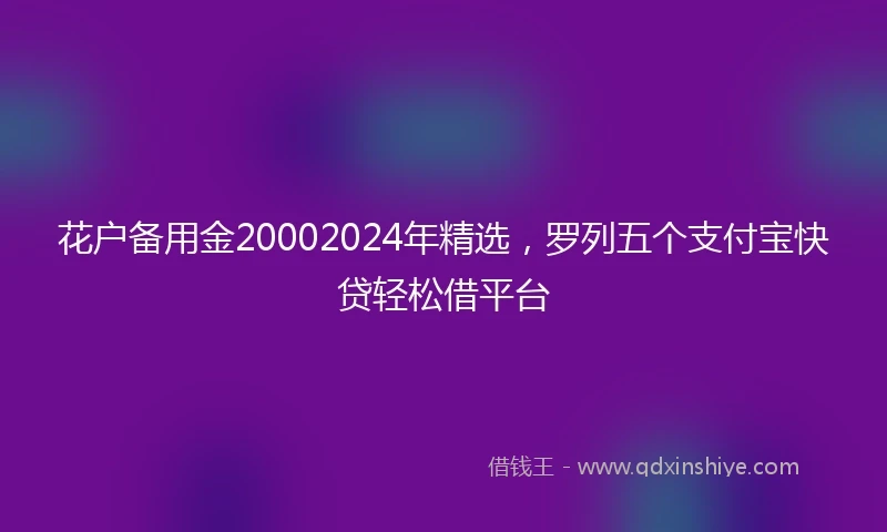 花户备用金20002024年精选，罗列五个支付宝快贷轻松借平台